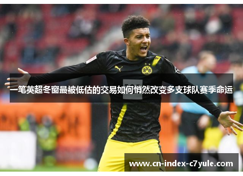 一笔英超冬窗最被低估的交易如何悄然改变多支球队赛季命运 一笔英超冬窗最被低估的交易如何悄然改变多支球队赛季命运